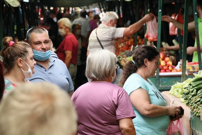 Интернет понудата поевтина од зелените пазари: Онлајн ајварки по 60 денари килограм