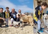 Малиот Виктор од Скопје ги продал своите играчките за да ги донира собраните пари за бездомните животни