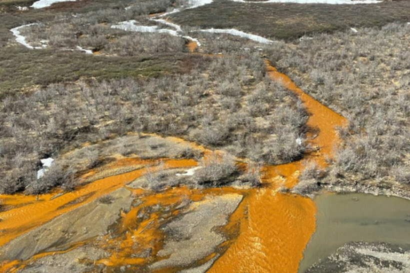 Спроведено истражување: Зошто реките во Алјаска стануваат портокалови?