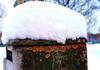 Измерени 55 сантиметри снег - во овие градови во Македонија е најстудено денес