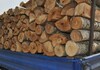 Оваа скопска општина ќе субвенционира набавка на огревно дрво