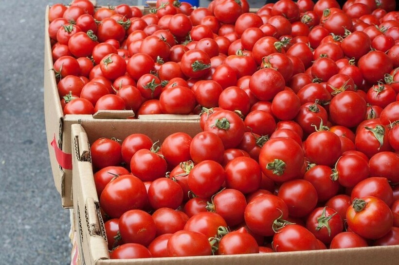 Расте цената на доматите – цената на килограм на големо од 130 до 150 денари