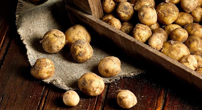 Дали знаете од каде потекнуваат и колку чинат најскапите компири во светот?