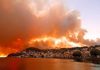 Пожарите во Грција не стивнуваат, ветерот ја влошува состојбата