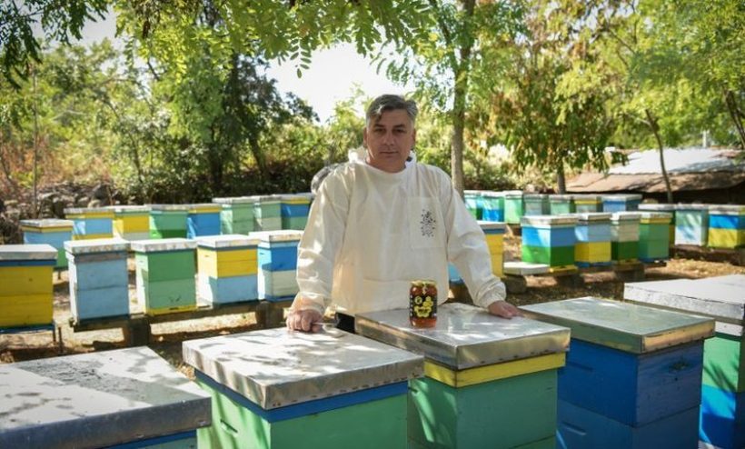 Марјан Арсов од Пробиштип има пчеларници како аптека