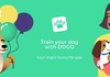 Dogo – практично дизајнирана апликација за одгледување и обука на кучиња