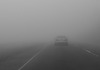 Возете внимателно: Поради магла видливоста на некои патишта е намалена до 40 метри