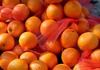 Зошто портокалите и мандарините се продаваат во црвени мрежи?