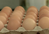 Нова измама на пазарите – ги валкаат индустриските јајца во кал и ги продаваат како домашни