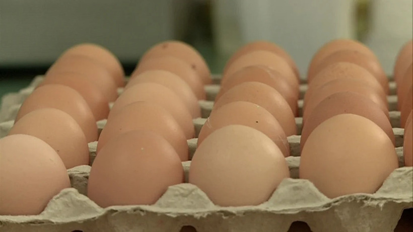 Нова измама на пазарите – ги валкаат индустриските јајца во кал и ги продаваат како домашни