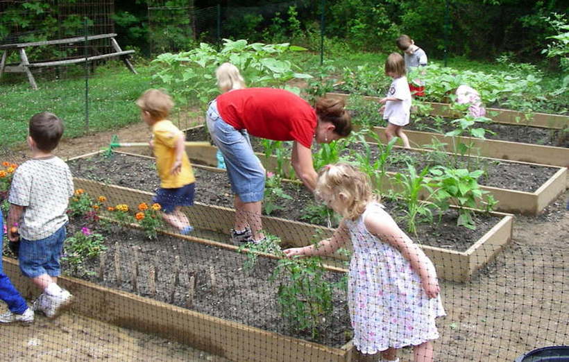 Дали одгледувањето храна треба да биде дел од образовниот систем на децата?