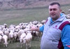 Далибор одгледува 1.000 овци: “Нудам многу пари, ми требаат работници“