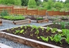Прва урбана (заедничка) градина во Општина Аеродром, секој ќе може да добие по 50м2 бесплатно за да си сади