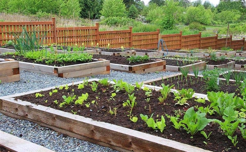 Прва урбана (заедничка) градина во Општина Аеродром, секој ќе може да добие по 50м2 бесплатно за да си сади
