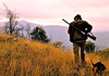 Се забранува ловот во источна Македонија, поради појавата на болеста Африканска чума