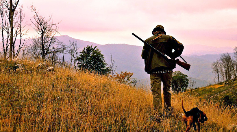 Се забранува ловот во источна Македонија, поради појавата на болеста Африканска чума