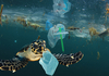 До 2040 година во океаните ќе има трипати повеќе пластика отколку сега
