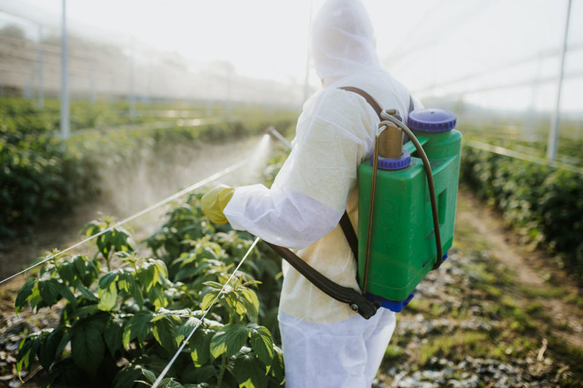 СЕКОЈ ТРЕТ ПРИМЕРОК ОВОШЈЕ БИЛ ХЕМИСКИ ТРЕТИРАН: Наместо сѐ помалку, овошјето од ЕУ има сѐ повеќе пестициди