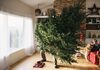 Кога треба да ја отстраните новогодишната декорација од вашиот дом?