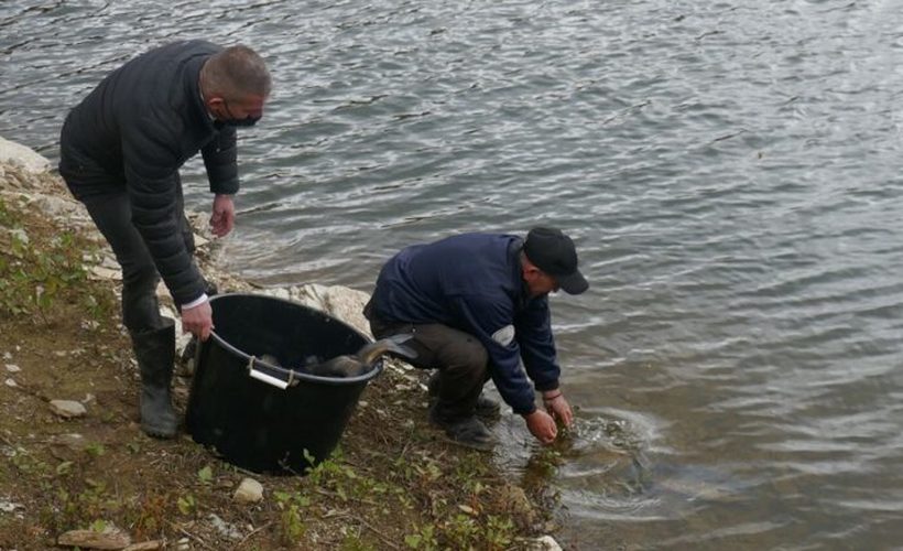 "САСА" ја продолжува поддршката за одржливост на рибниот фонд во езерото Калиманци