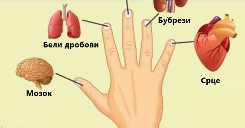 Секој прст е врзан за два органи: Јапонски метод за лечење за две минути