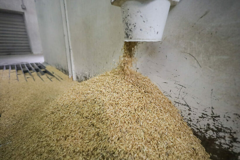 Нова мерка за поддршка на откупувачите и преработувачи на бел ориз за поголем извоз и нови пазари