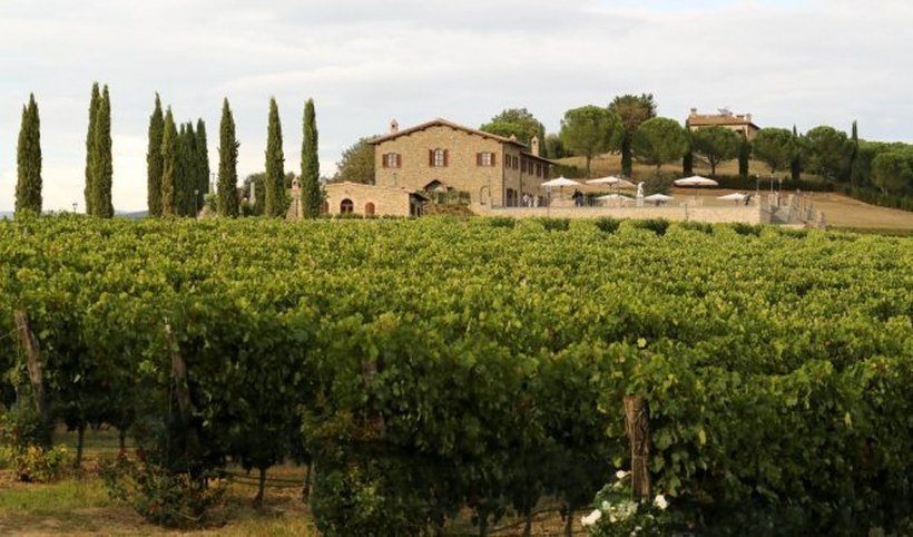 Италијанец одгледува лозје на тераса, а шише вино продава за 5.000 евра