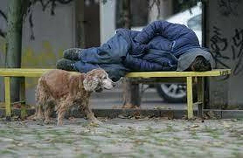 Колку бездомници има во земјва?