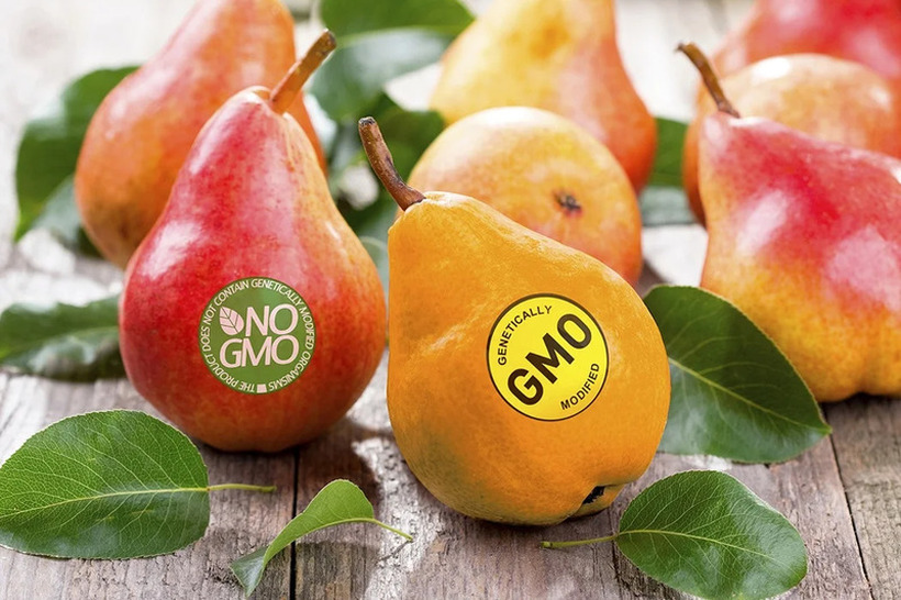 ЌЕ ЈАДЕМЕ ГМО? ЕУ одобри негова употреба