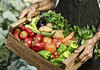 Од утре ограничени цени на 11 видови овошје и зеленчук