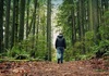 Се укинува забраната за движење во шуми