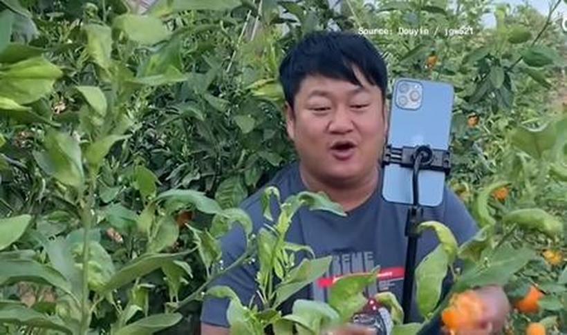 Земјоделците во Кина заработуваат милиони од продажба на овошје на ТИК ТОК