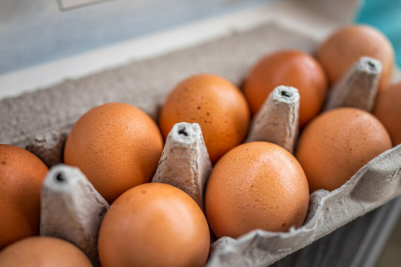 Дали знаете зошто работниците во супермаркетите во Германија отвораат кутии за јајца на касата?