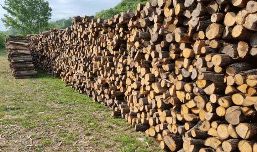 ГРАЃАНИТЕ СЕ РАСТРЧАА ПО „ЕВТИН“ ОГРЕВ – Кубик огревно дрво во сезона може да скокне до 100 евра