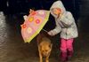 Не и е важен дождот и тоа што ќе наврне, битно кучето да е безбедно: Колку љубов на едно место