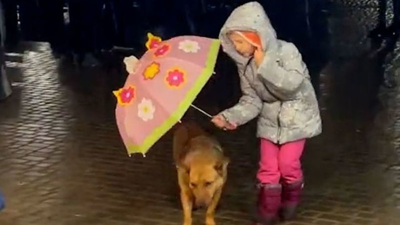 Не и е важен дождот и тоа што ќе наврне, битно кучето да е безбедно: Колку љубов на едно место