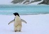 По првпат откриена микропластика во свежи снежни врнежи на Антарктикот