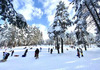 „Нема зима“ за српските планини: 100.000 гости го посетиле Златибор за 4 празнични денови