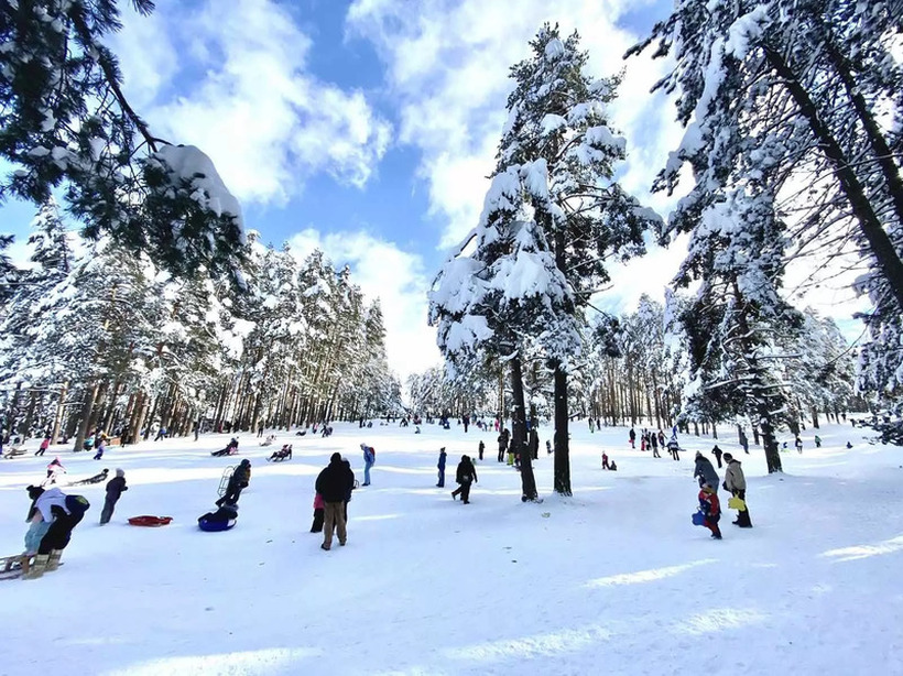 „Нема зима“ за српските планини: 100.000 гости го посетиле Златибор за 4 празнични денови