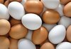ХРВАТСКА ИМА НАЈСКАПИ ЈАЈЦА ВО ЕУ Хрватите јадат увезени јајца од Албанија и од Бугарија