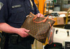 Ако патувате со лажни дизајнерски чанти, можете да одите во затвор: Еве во кои земји