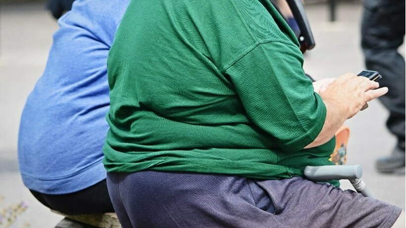 Алармантни бројки, речиси 30 отсто од возрасните во Македонија живеат со дебелина