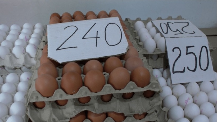 Од утре се најавува ценовен шок, ќе достигне ли цената на табла јајца и до 300 денари?