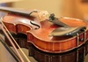 Направена е првата веганска виолина во светот