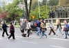 200 евра казна за незастанување на пешачки