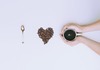 Патот на кафето - од зрно до топол напиток во вашиот дом