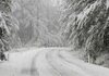 Снег вее на овие патни правци: Внимателно возење