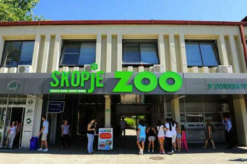 Скопската Зоолошка со најевтин билет во Европа!