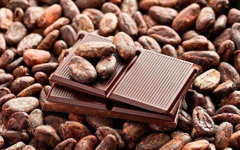 Какаото достигна 10.000 долари! Сега е сигурно, цените на чоколадото ќе растат