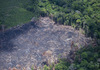 ПРОДОЛЖУВА ПУСТОШЕЊЕТО ВО АМАЗОНИЈА: За шест месеци уништени 3.988 квадратни километри од најголемата прашума во светот